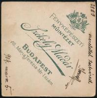 1904 Hölgy portréja, keményhátú fotó Székely Aladár budapesti műterméből, hátoldalán feliratozott, s...