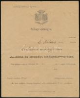1880 Érmindszent, állami és községi adókönyvecske