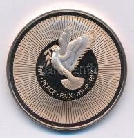 1974. ENSZ - Béke kétoldalas, többnyelvű fém emlékérem (39mm) T:1 (eredetileg PP) 1974. UN - Peace two-sided, multilingual metal medallion (39mm) C:UNC (originally PP)