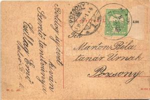 1909 Érsekújvár, Nové Zámky; Bőrgyár. W.L. 437. / leather factory (vágott / cut)