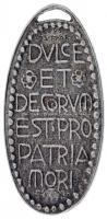 Zutt Richárd (1887-1938) 1914. "DVLCE ET DECORVM EST PRO PATRIA MORI" ezüstözött fém emlék...
