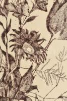 Túry Mária (1930-1992): Csendélet. Rézkarc, papír. Jelzett. Paszpartuban. 29×19,5 cm