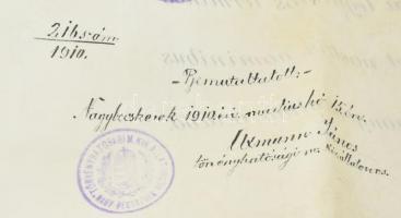 1908 Budapest, Magyar Királyi Állatorvosi Főiskola által kiállított diploma, függő viaszpecséttel, h...