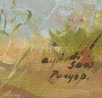 Agárdi Soós Lajos (?-?): Fonyód. Olaj, vászon, kartonra kasírozva, jelzett, sérült. 40x50 cm