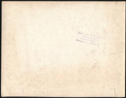 cca 1920-1930 Dunapentele, Janitsáry-kúria, 2 db fotó, Bánki Edith pecséttel jelzett fotója, foltos,...