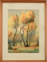 Szórád jelzéssel: Erdőszéle ősszel. Akvarell, papír. Kartonra kasírozva. Üvegezett fa keretben. 35×25 cm