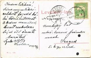 1908 Gyula, Petőfi utca, piac, Rosenthal Gusztáv és Társa üzlete. W.L. 1561. (fa)