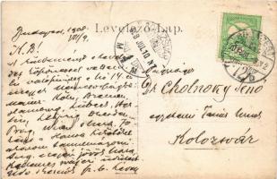 1908 Budapest V. Vörösmarty szobor avatási ünnepsége, Maison Marianne női kalap terem, üzlet. Dr. Ch...