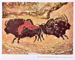 László Gyula: Az ősember művészete. Bp., 1968, Corvina. megjelent 3000 példányban. Fekete-fehér és s...