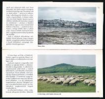 Géczi János, Somogyi Győző, Székely Péter: Tihany. Természet és kultúra. Bp., 1995, Kortárs. Fekete-...