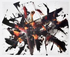 Köpeczky Róna, Kürti Emese, Makláry Kálmán (szerk.): Reigl Judit. Űr és extázis. Bp., 2014, Ludwig M...