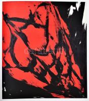 Köpeczky Róna, Kürti Emese, Makláry Kálmán (szerk.): Reigl Judit. Űr és extázis. Bp., 2014, Ludwig M...