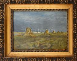 Holba Tivadar (1906-1995): Szárkúpok. Olaj, karton, jelzett, 37,5x27,5cm, üvegezett keretben