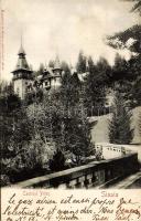 Sinaia castle