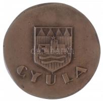 Kiss Nagy András (1930-1997) DN "Székely Aladár Emlékére/ Gyula" Br emlékérem (88mm) T:2