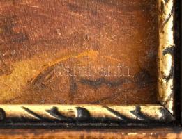 Olvashatatlan jelzéssel: Őszi erdő. Olaj,karton, jelzett, 9,5x11cm, fa keretben