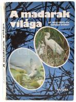 Mödlinger Pál, Kapocsy György: A madarak világa. Bp., 1980, Natura. Kiadói kartonált papírkötésben, sérült és ragasztott gerinccel.