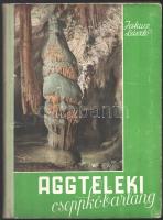 Jakucs László: Aggteleki cseppkőbarlang. Budapest, 1952, Művelt nép. Illusztrált kiadói félvászon kötésben, kopott és hátoldalán foltos borítóval, címlapon ajándékozási sorokkal.