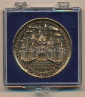 Amerikai Egyesült Államok DN Disneyland kétoldalas Br emlékérem eredeti műanyag tokban (35mm) T:1- USA ND Disneyland two-sided Br commemorative medallion (35mm) C:AU