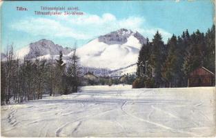 1914 Tátraszéplak, Tatranska Polianka, Westerheim (Magas-Tátra, Vysoké Tatry); sírét. Dr. Guhr felvétele / ski field (ázott / wet damage)