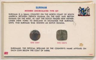 Suriname 1962. 1c Br + 1962. 5c Cu-Ni kartonlapon T:1- Suriname 1962. 1 Cent Br + 1962. 5 Cents Cu-Ni on cardboard C:AU