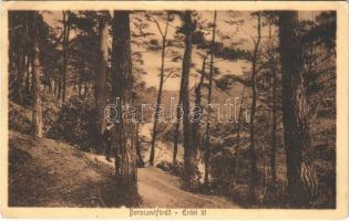 1913 Borosznó-fürdő, Brusno-kúpele (Borosznó, Brusznó, Brusno); erdei út / forest road (EK)