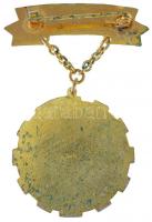 ~1970. "Kiváló Termelőszövetkezeti Dolgozó" aranyozott, műgyantás kitüntető jelvény miniat...