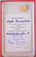 ~1970. "Kiváló Termelőszövetkezeti Dolgozó" aranyozott, műgyantás kitüntető jelvény miniat...