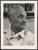 Szentgyörgyi Albert (1893-1986) orvos, biokémikus fotója, 8×6 cm