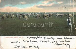 1904 Hortobágy, legelő gulya, magyar folklór (fa)