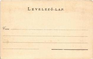 Sirok, várrom. Baross nyomda (ázott / wet damage)