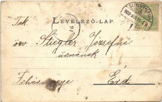 1903 Székesfehérvár, Vörösmarty szobor. Eisler Adolf kiadása (r)