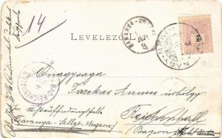 1899 Nagymaros, Visegrádi vár, Salamon-torony, látkép. Divald Károly kiadása (b)