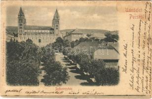 1900 Pécs, Székesegyház. Schönwald Imre kiadása (fl)