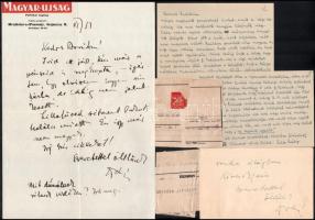 cca 1920-1940 A két világháború közötti határon túli magyar irodalom lenyomata. Vass László (1905-19...