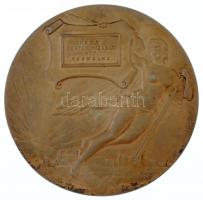 Szirmai Tony (Antal) (1871-1938) 1907. "1907 Pécsi Országos Kiállítás / Pécsi Sertés Hízlaló R....