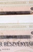 Pécs 1926. "Pécsi Takarékpénztár Részvénytársaság" névre szóló részvénye 200P-ről (10x) &q...