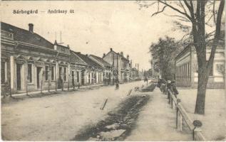 1915 Sárbogárd, Andrássy út. Vasúti Levelezőlapárusítás 6685.