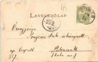 1904 Sümeg, Darnay Kálmán múzeuma, belső (r)