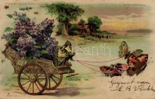 Butterlfies Hold To Light litho