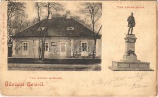1900 Baja, Tóth Kálmán szülőháza és szobra (Rb)
