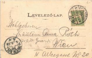 1903 Félixfürdő, Baile Felix; Gyógyforrás. Helyfi László kiadása / spa, spring source (r)