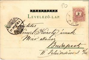 1898 (Vorläufer) Gyula, Göndöcs-népkerti pavilon, Megyeház utca, Takarékpénztár, Római katolikus tem...