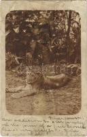 1903 Khartoum, Khartum; young lioness. photo (tear)