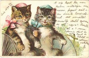 1899 Cats. Theo Stroefers Kunstverlag. Aquarell-Postkarte Serie V. (Tiere) No. 628. Szénásy és Reimann litho (EB)