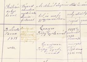 1881 Szobonya Kálmán okl gyógyszerász minősítvénye a korábban szolgált gyógyszertárak neveivel 