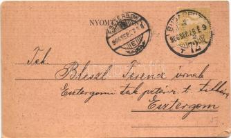 1906 Dunaharaszti, Rákócziliget; Szüreti mulatság meghívó Rákóczi Liget vezetősége (EK)