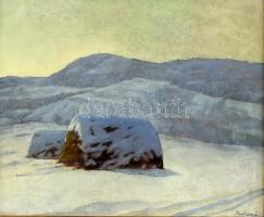 Barkász Lajos (1884-1960): Téli táj. Olaj, karton. Jobb alsó sarkánam sérült (keret által takarva). Dekoratív, sarkaiban kissé sérült fa keretben, 35,5x45 cm