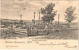 1903 Vízakna, Salzburg, Ocna Sibiului; Honvéd emlék szobor. Takáts Jenő kiadása / military heroes monument