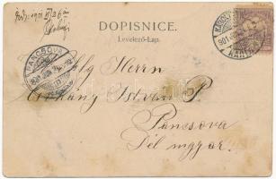 1901 Károlyváros, Karlovac; Prva karlovckva pivovara Aschenbremer i Mattesa / sörfőzde, sörgyár / br...